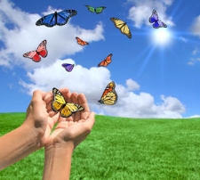 Butterfly Release